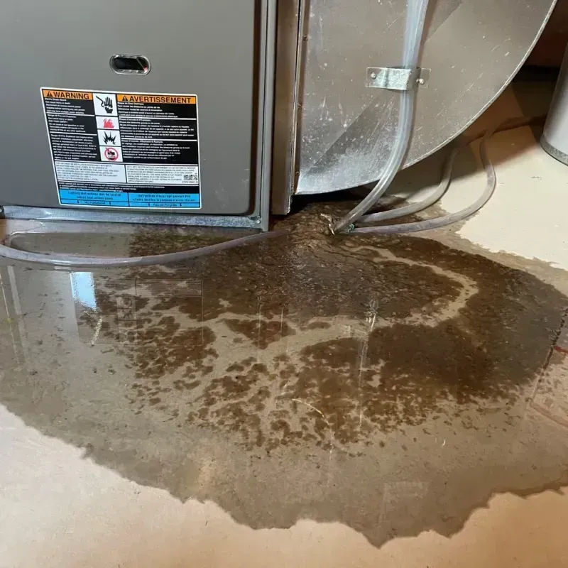 Appliance Leak Cleanup in Fort Belvoir, VA